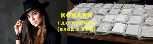 гашик Арсеньев