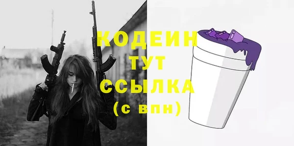 гашик Арсеньев