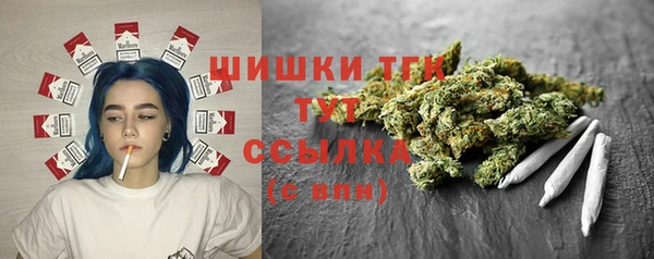 гашик Арсеньев