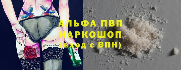 гашик Арсеньев